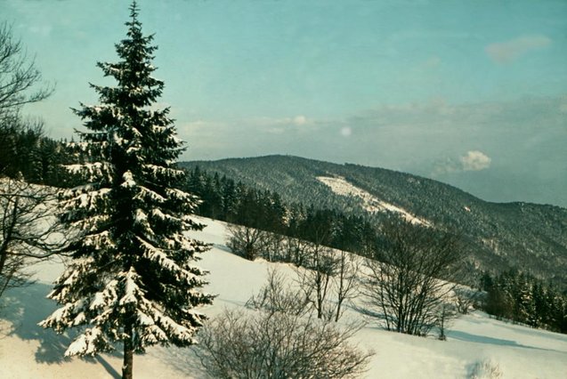 Tannich-Berg_Winter